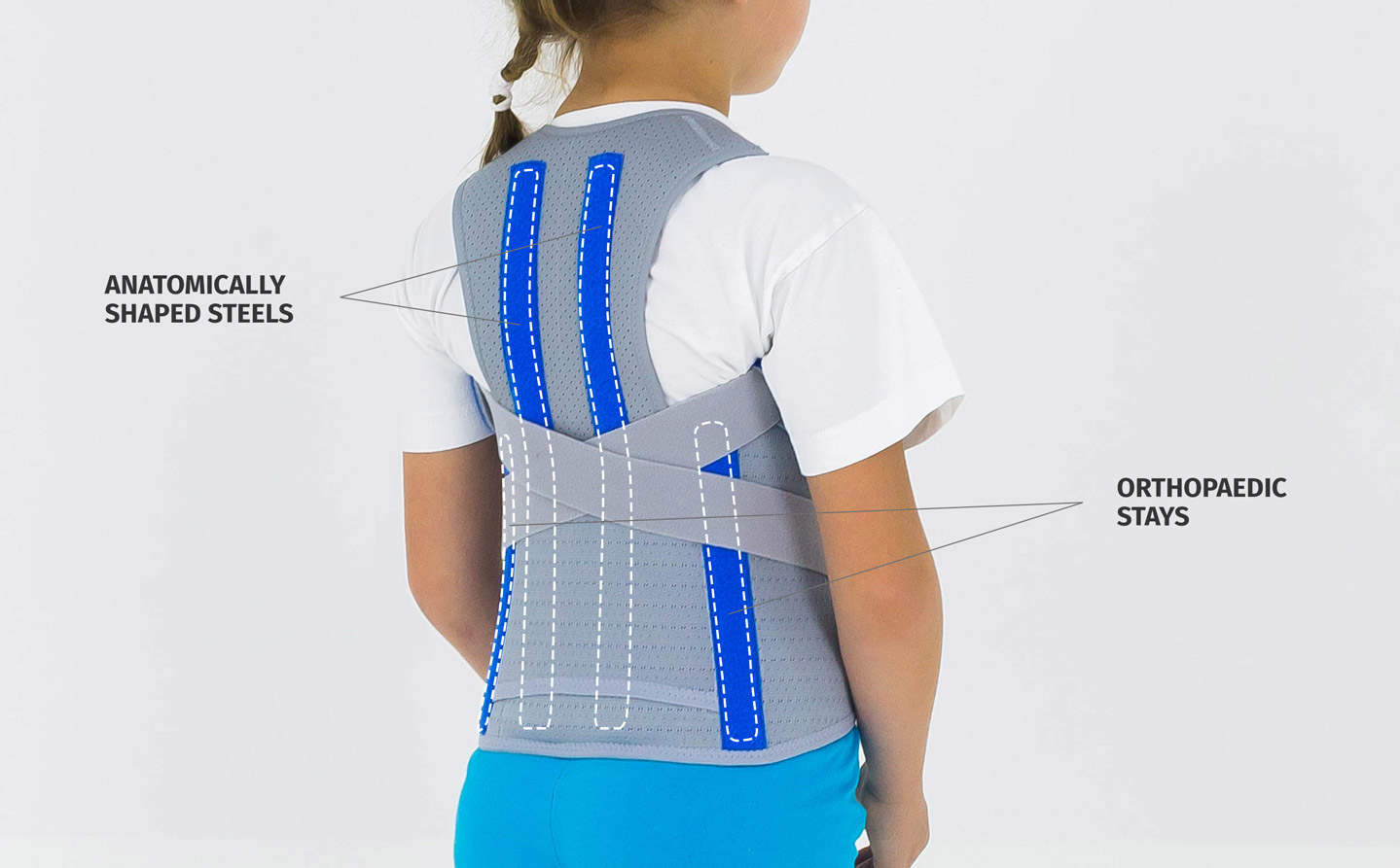 Back support and posture corrector 2 in 1 AM-WSP-06